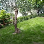 Apartman Enrica With Amazing View *